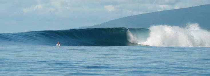surf fiji